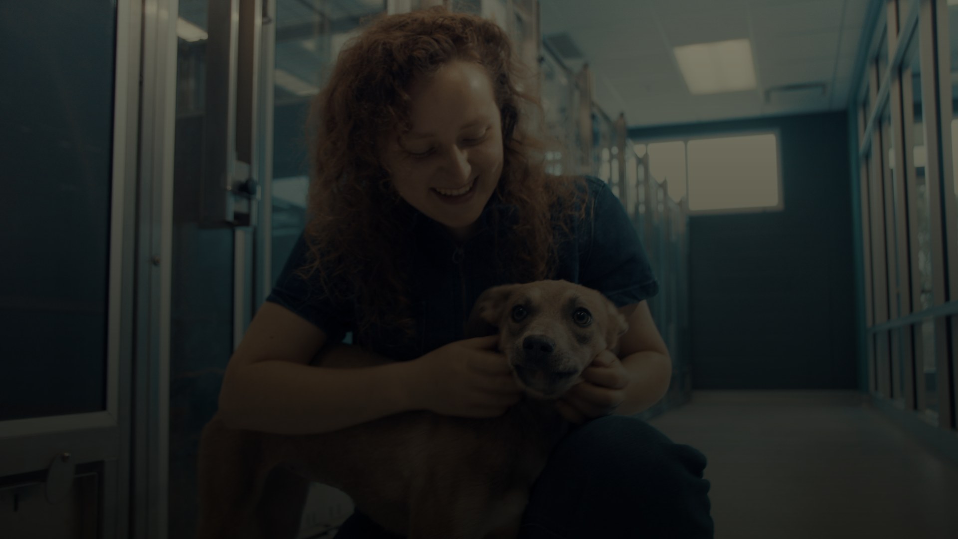 Moore Animal Shelter